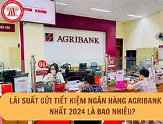 Gửi Tiết Kiệm Ngân Hàng Agribank Tháng 7 Năm 2024