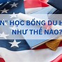 Học Nha Sĩ Tại Mỹ Có Khó Không 2024 Không Được