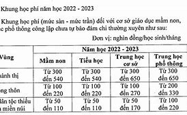 Học Phí Neu 2025