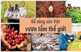 Những Loại Nông Sản Xuất Khẩu Của Việt Nam Hiện Nay Là Gì Vì Sao