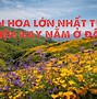 Nước Nào Có Nhiều Người Nhất Thế Giới