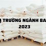 Thị Trường Bao Bì Nhựa Việt Nam 2023