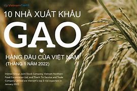 Xuất Khẩu Gạo Của Việt Nam Năm 2022